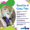 Fish Bone Nylon Dog Toy for Aggressive Chewers | USA Made | SodaPup