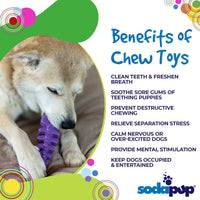 Fish Bone Nylon Dog Toy for Aggressive Chewers | USA Made | SodaPup