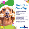 Honey Bone Nylon Dog Toy for Aggressive Chewers | Indestructible | USA Made