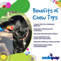 Hot Dog Nylon Dog Toy for Aggressive Chewers | USA Made | SodaPup