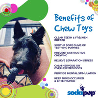 Vampire Bat Nylon Dog Chew Toy for Aggressive Chewers | USA Made & FDA Compliant