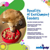 Santa Christmas eBowl Deep Slow Feeder Dog Bowl for Enrichment | USA Made