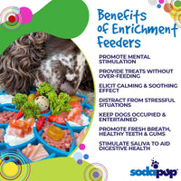Mandala eTray Shallow Slow Feeder Dog Bowl for Enrichment | USA Made