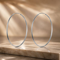 S925 Sterling Silver Earrings for Women