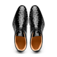 43-594-BLK MARCO Ostrich Quill Chukka Boot, Black