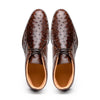 43-594-BRN MARCO Ostrich Quill Chukka Boot, Brown