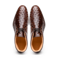 43-594-BRN MARCO Ostrich Quill Chukka Boot, Brown