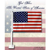 American Two-Sided Car Flag, 11" x 14" with 19" Pole by Rico Industries EasyOptionXY LLC