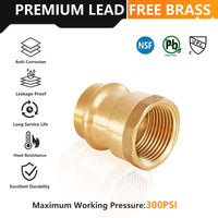 30 Pcs 1" Press x 1" Female Brass Adapter (Lead Free)