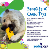 Swiss Cheese Wedge Nylon Dog Chew Toy for Aggressive Chewers | SodaPup