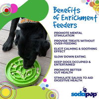 Garden Design eTray - Shallow Slow Feeder Dog Bowl for Enrichment | USA