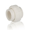10 Pcs 2" PVC FIP Union