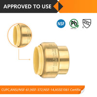 30 Pcs 3/4" Push Fit Plug (End Stop)