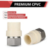 3/4" CPVC x Female Stainless Steel Adapter (Lead Free)
