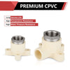 1/2" CPVC x Female NPT (Stainless Steel) Drop-Ear Elbow