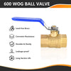 3/4" FNPT Ball Valve, Blue (Lead Free)