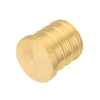 30 Pcs PEX-B Crimp 3/4" Plug (Lead Free)