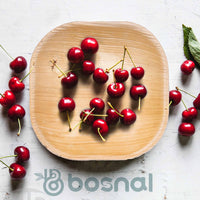 Bosnal - Palm Leaf Biodegradable Plates, 4 inch, Square Bosnal