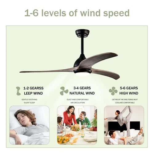 52" Ceiling Fan with Light Modern Design Remote and 6 Speed Options