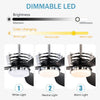 52" Modern Ceiling Fan with Light, 3 ABS Blades, DC Remote Control