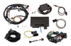 Holley EFI Terminator X - Ford MPFI Kit