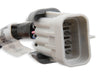 LS Coil Harnesses