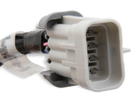 LS Coil Harnesses