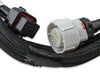 EFI Terminator X Max - LS1/LS624x Crank - 1x Cam - EV6 Injectors - Transmission Control - USB/CAN Tuning Cable