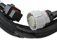 EFI Terminator X Max - LS1/LS624x Crank - 1x Cam - EV6 Injectors - Transmission Control - USB/CAN Tuning Cable