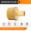 PEX-B Crimp 3/4" PEX x 1" Male Threaded Adapter (Lead Free) Plumbingsell