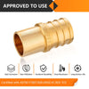 30 Pcs PEX-B Crimp 3/4" PEX x 1/2" Male Copper Sweat Adapter (Lead Free)