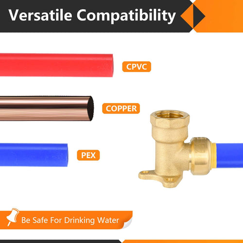 3/4" x 3/4" F Push Fit Femele Drop Ear Elbow