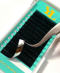 Cashmere PRO Extra Matte Deep Black Lashes 【16 lines no-logo】0.03mm【BEST QUALITY EVER】