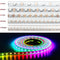 White / 30 Lights / Casing