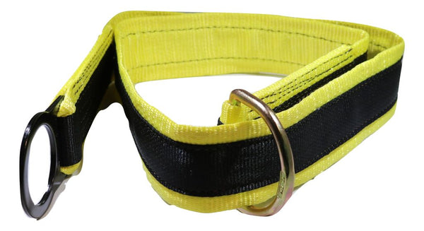 6 Ft Anchorage/Tie-Off D-Ring & D-Ring | 96590D-6 RatchetStrap.Com