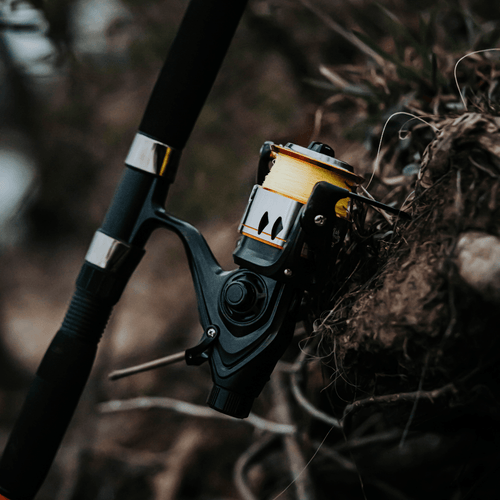 600STS Spinning Reel Catfish Pro