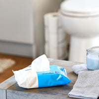 Equate Fresh Scent Flushable Wipes, 3 Packs of 48, 144 Total Wipes EasyOptionXY LLC