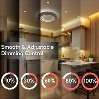 60W Halogen Electronic Potted Current Transformer