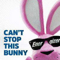 Energizer Ultimate Lithium AAA Batteries (4 Pack), Triple A Batteries EasyOptionXY LLC