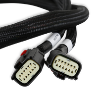 GM GEN V GDI EARLY, SUB HARNESS