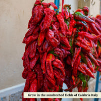 L'Oro Del Sud, Dried Calabrian Chili Flakes, 2.11 oz (60 g)