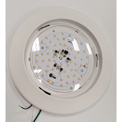 8" Bubble Lens Surface Mount Light Fixture