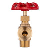 Boiler Drain 1/2" MNPT x 3/4" NH, Multi-Turn