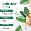 Dove Solid Stick Palo Santo & Sage for 72-Hour Sweat and Odor Protection Alcohol Free 2.6 oz