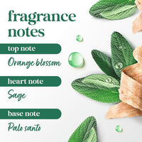 Dove Solid Stick Palo Santo & Sage for 72-Hour Sweat and Odor Protection Alcohol Free 2.6 oz