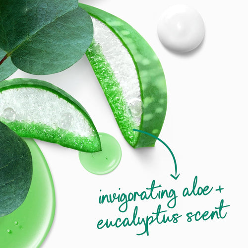 Dove Body Wash with Pump Invigorate Aloe & Eucalyptus For 24hr Lotion-Soft Skin Moisturizing Skin Cleanser with No Sulfates No Parabens 30.6 Oz