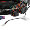 Gen V LT Engine Main Harness
