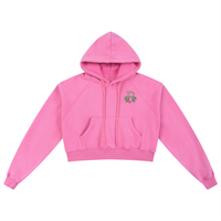Two Faced Snow Washed Cropped Hoodie