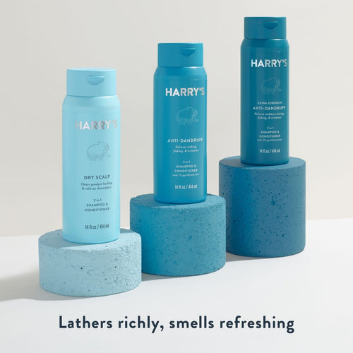 Harry's Men's Extra-Strength Anti-Dandruff 2-in-1 Shampoo and Conditioner, 14 fl oz EasyOptionXY LLC