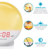 Westclox 5" White Electric Sunrise Simulator Alarm Clock with Digital LED Display and Dimmable Nightlight EasyOptionXY LLC